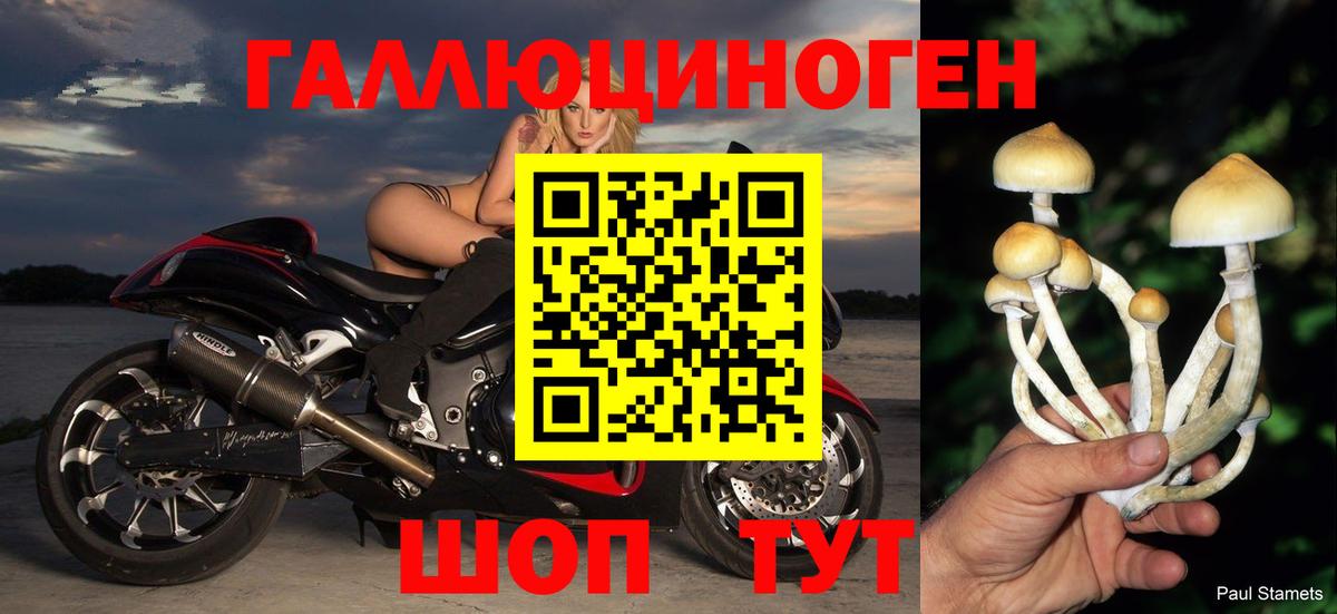 Галлюциногенные грибы мицелий  Вход с VPN  Вологда 