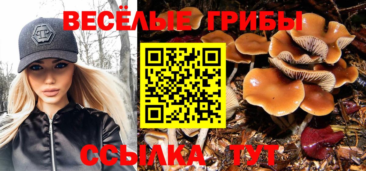 Псилоцибиновые грибы мицелий Вологда